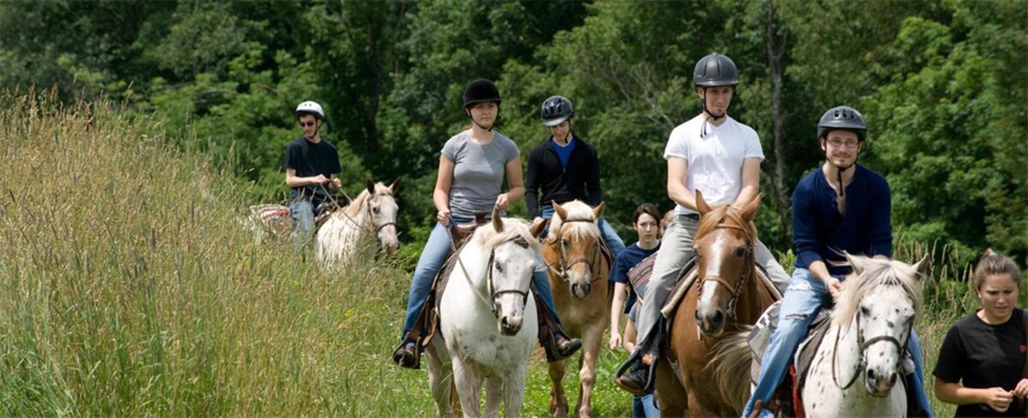 Вилла Roscoe Retreat Экстерьер фото